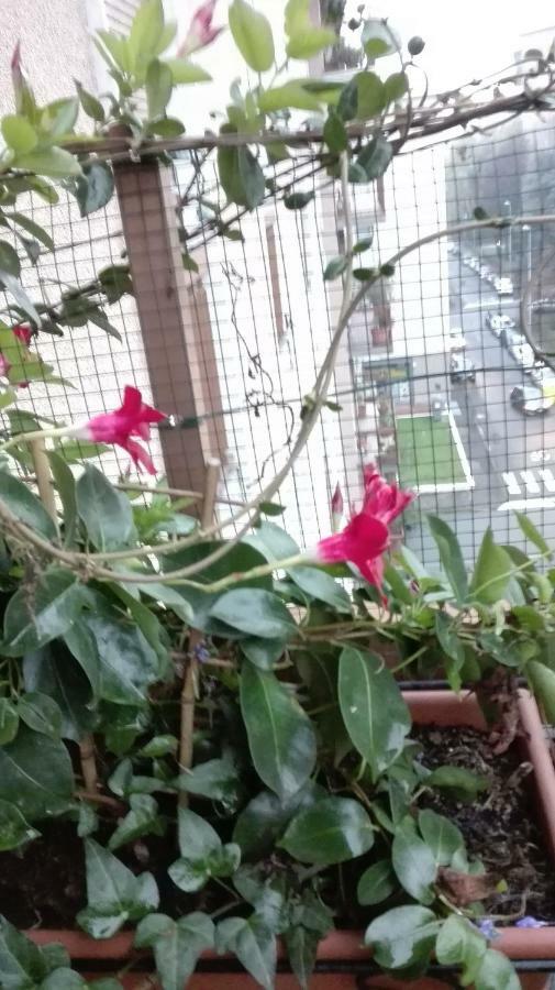 파비아 Vittadinisette 아파트 외부 사진